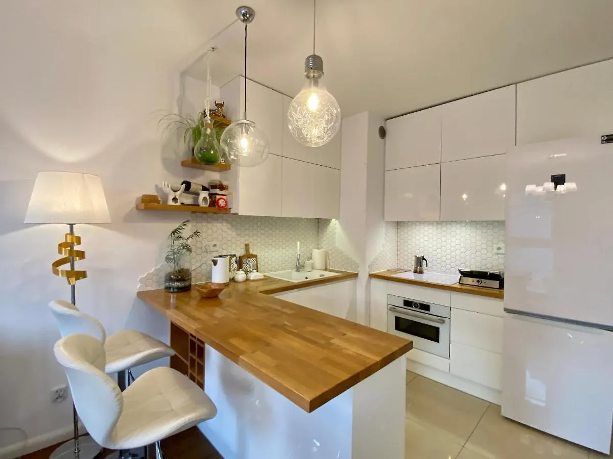 White And Bright With Riverside View And Parking Apartment Krakow