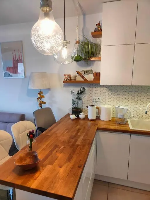 White And Bright With Riverside View And Parking Apartment Krakow